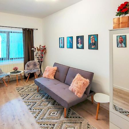 22 Loop Apartment Braşov Buitenkant foto