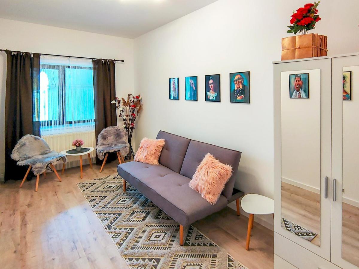 22 Loop Apartment Braşov Buitenkant foto